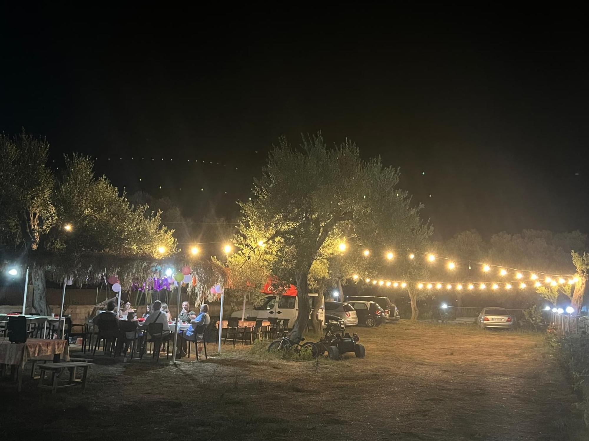 Villa Noel Borş Dış mekan fotoğraf