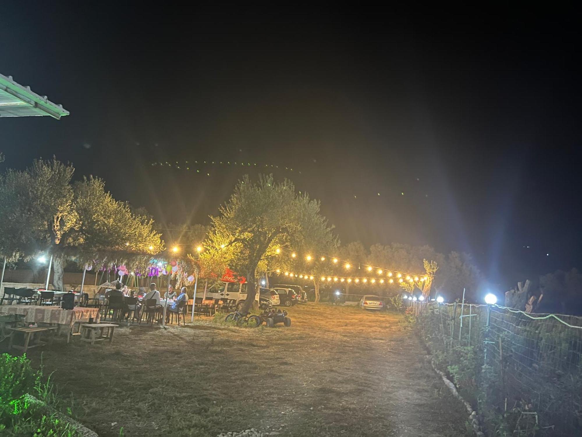 Villa Noel Borş Dış mekan fotoğraf