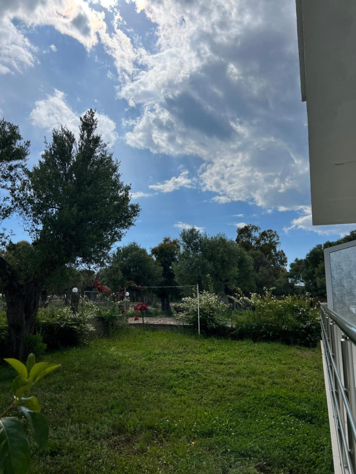 Villa Noel Borş Dış mekan fotoğraf